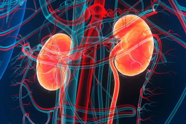 hypertensive nephropathy
