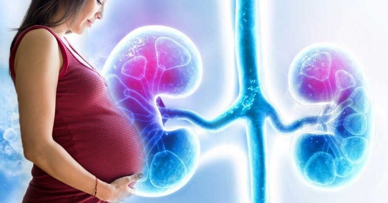kidney problems during pregnancy