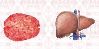 hepatic encephalopathy