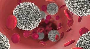 leukemia (blood cancer)